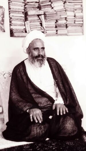 علامه امینی