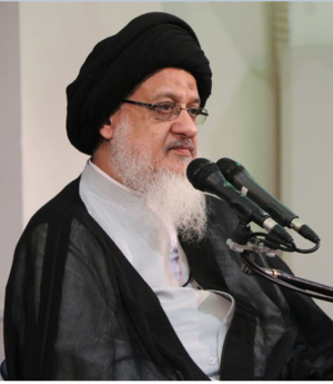 سید علی حسینی میلانی